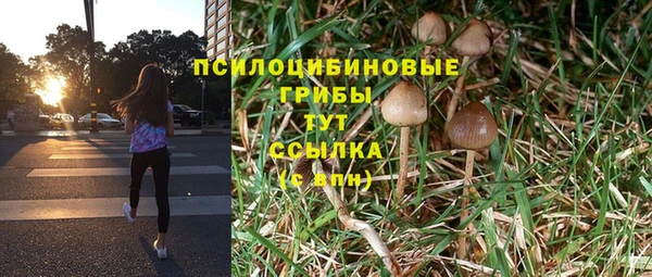 стаф Покровск