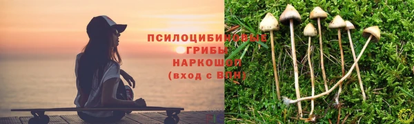 а пвп мука Покров